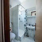 In Near Paklenica Park Appartement